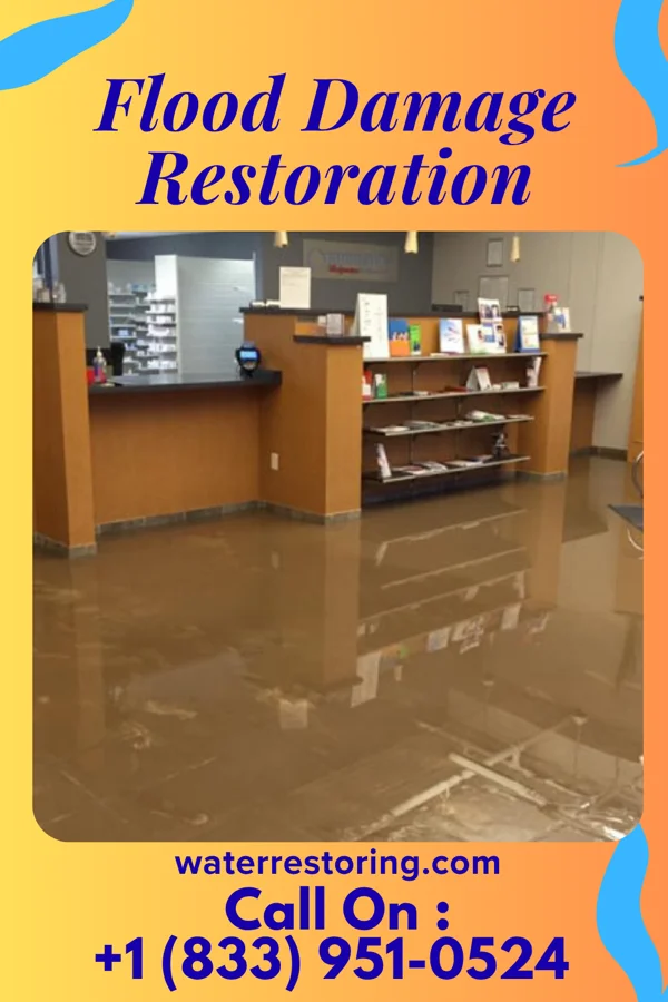 Flood Damage Restoration in Mountain View, NC