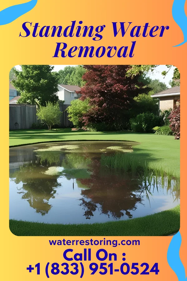 Standing Water Removal in Mountain View, NC